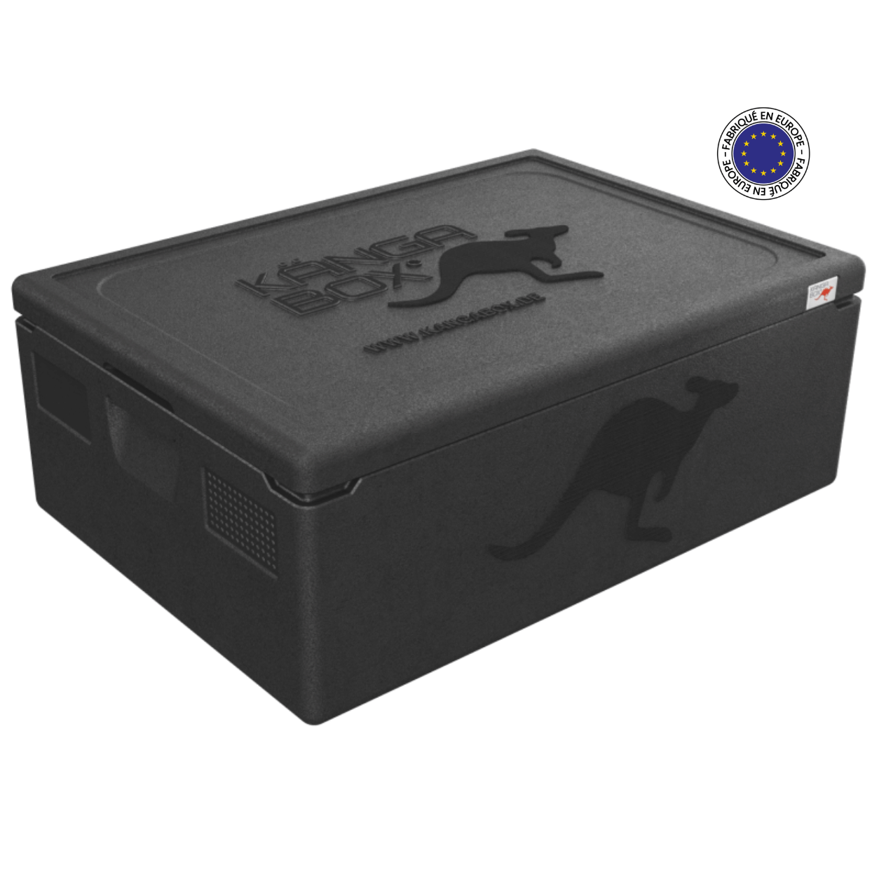 KÄNGABOX EXPERT 60x40 - 68x48 cm - 80L