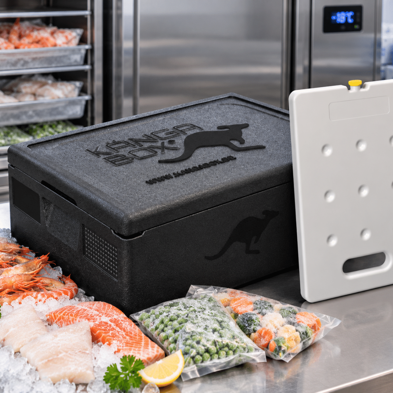 KÄNGABOX EXPERT GN 11 - 30L (X3)