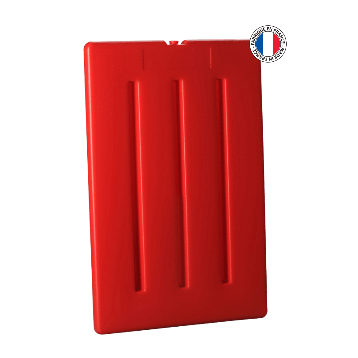 Plaque chaude PL600